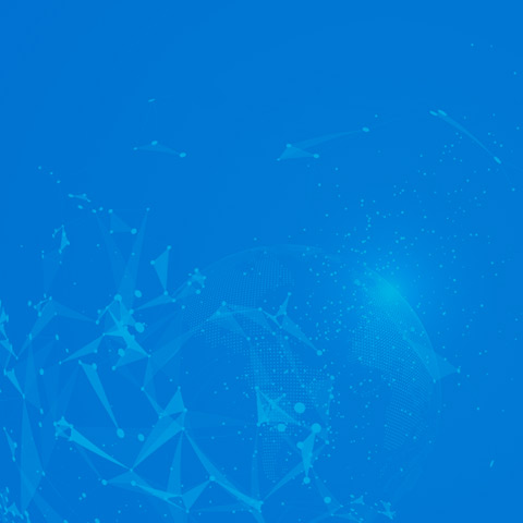 p06